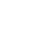 shield icon shield icon